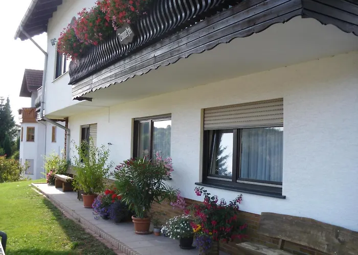 Haus Ludwig Шоттен